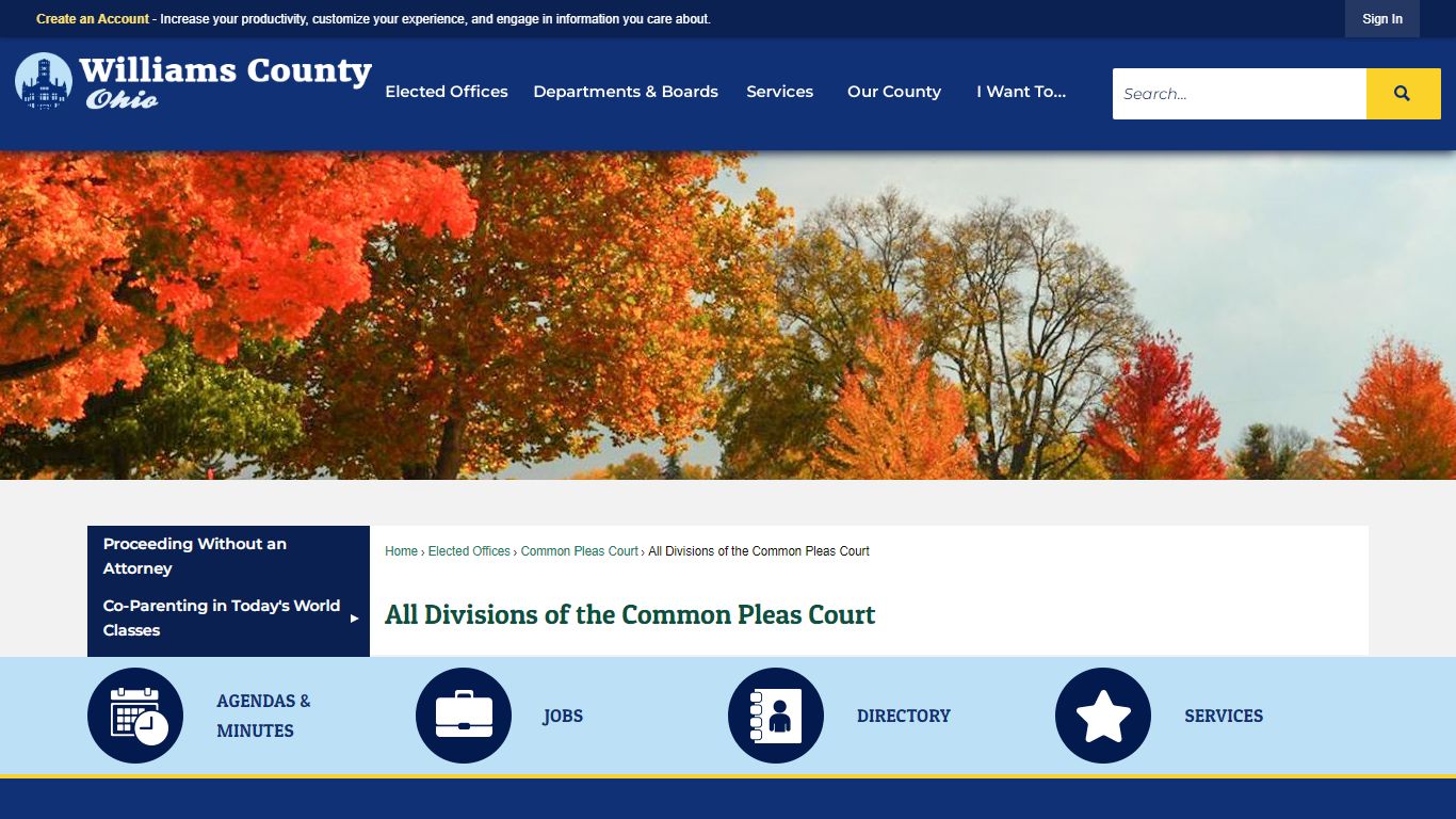All Divisions of the Common Pleas Court | Williams County, OH